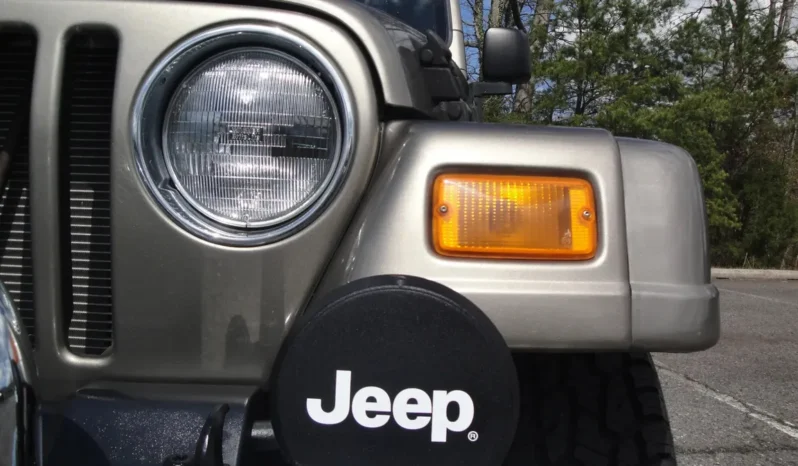 
								2004 Jeep Wrangler Sahara full									