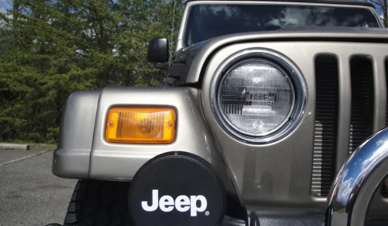 
								2004 Jeep Wrangler Sahara full									