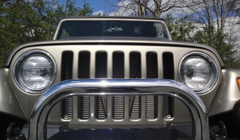 
								2004 Jeep Wrangler Sahara full									