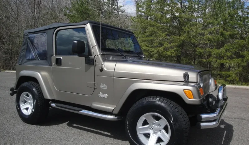 
								2004 Jeep Wrangler Sahara full									