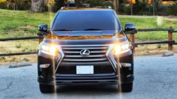 
										2019 Lexus GX460 Premium full									