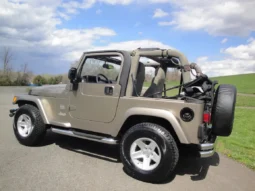 
										2004 Jeep Wrangler Sahara full									
