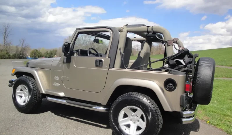 
								2004 Jeep Wrangler Sahara full									