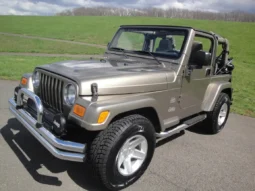 
										2004 Jeep Wrangler Sahara full									