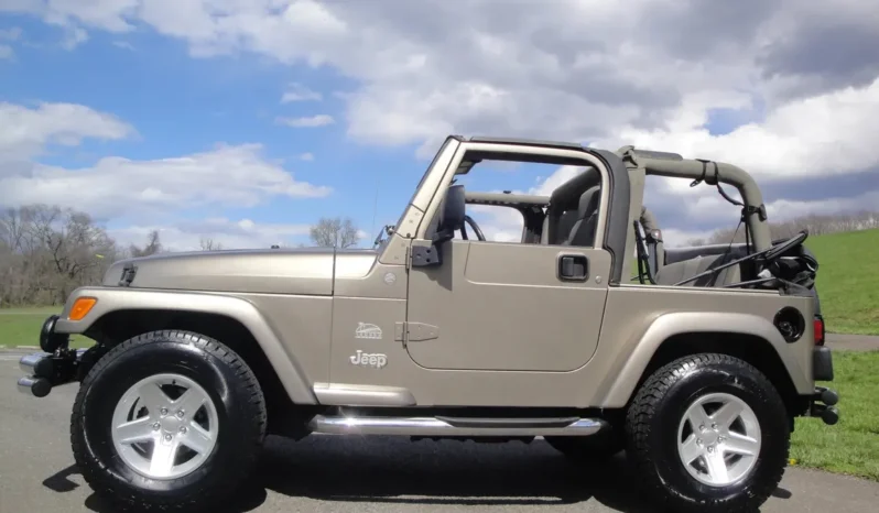 
								2004 Jeep Wrangler Sahara full									
