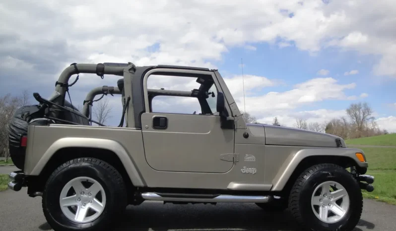 
								2004 Jeep Wrangler Sahara full									