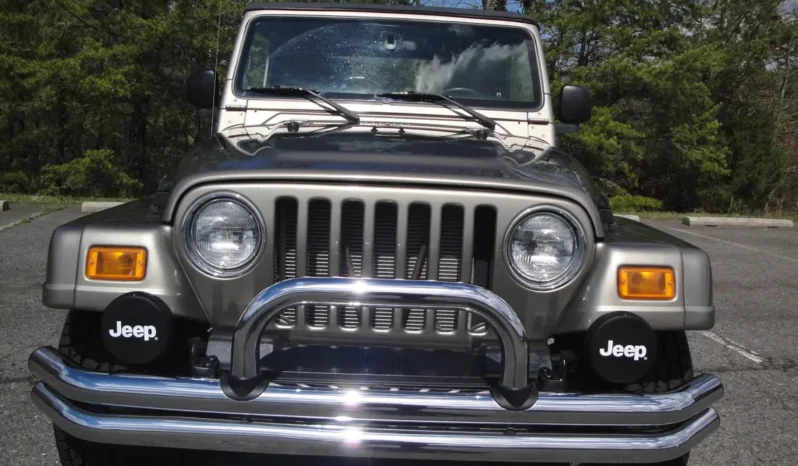 
								2004 Jeep Wrangler Sahara full									