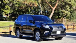 
										2019 Lexus GX460 Premium full									