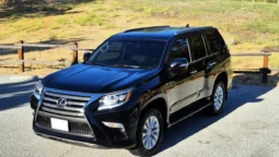 
										2019 Lexus GX460 Premium full									