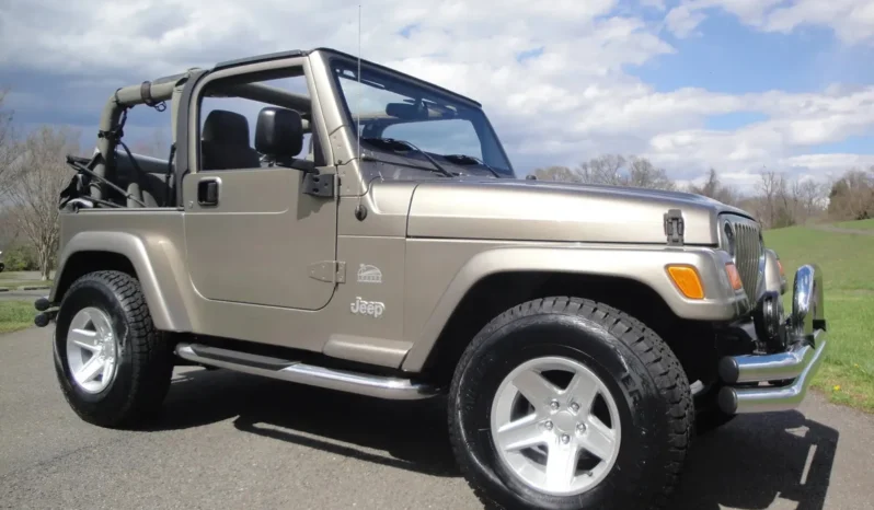 
								2004 Jeep Wrangler Sahara full									