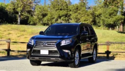 
										2019 Lexus GX460 Premium full									